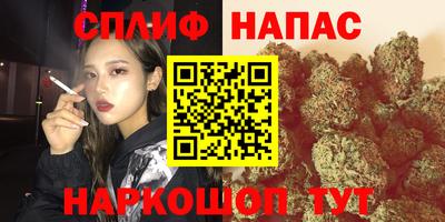 меф Краснознаменск
